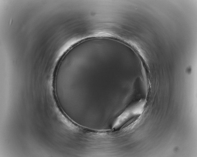 X0000099511422200805221412