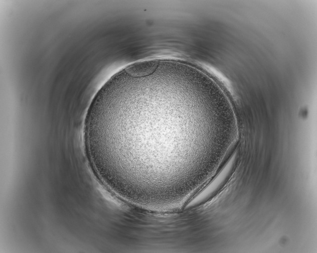 X0000099511423200805221412