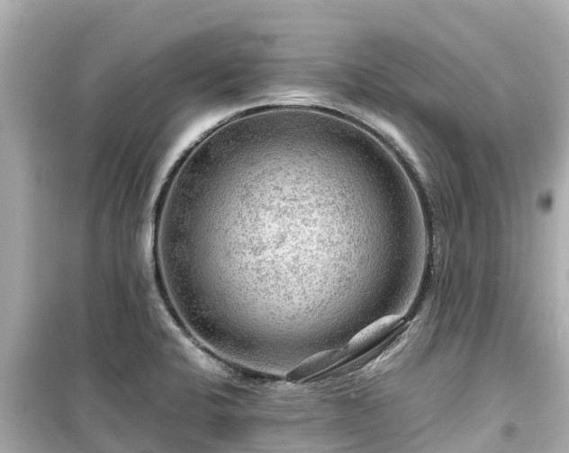 X0000099511424200805221412