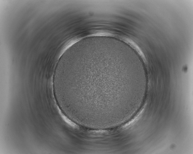 X0000099511425200805221412
