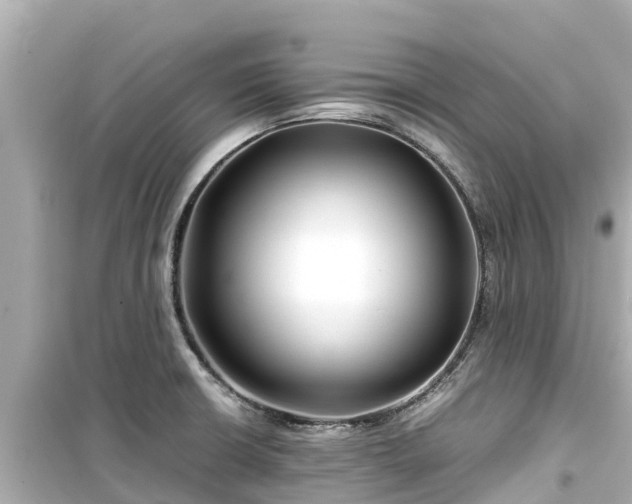 X0000099511426200805221412