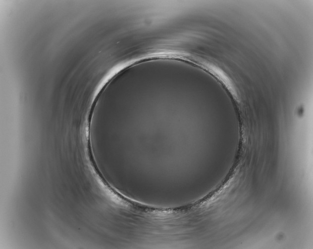 X0000099511428200805221412