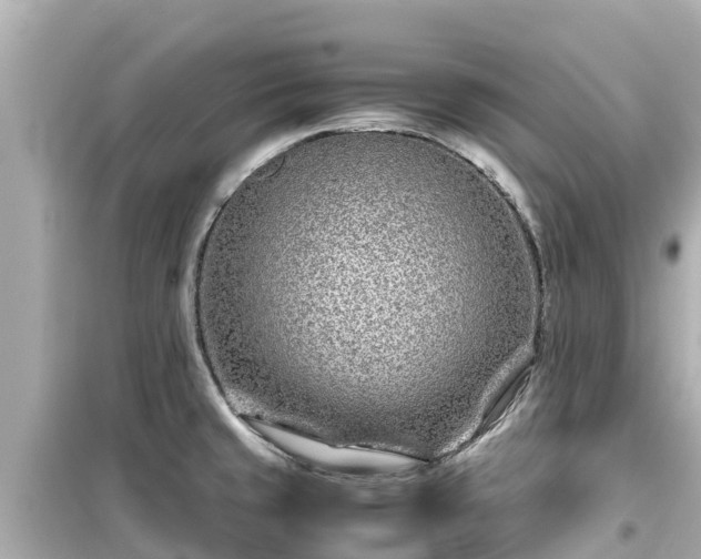 X0000099511429200805221412