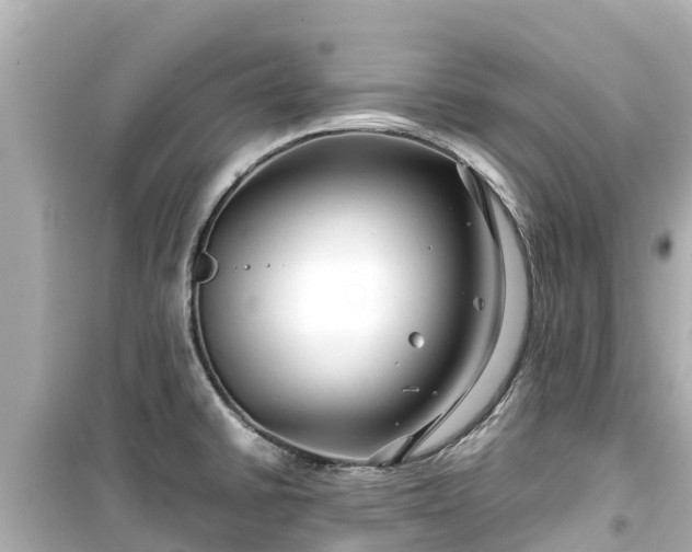 X0000099511430200805221412