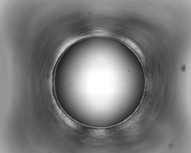 X0000099511431200805221412