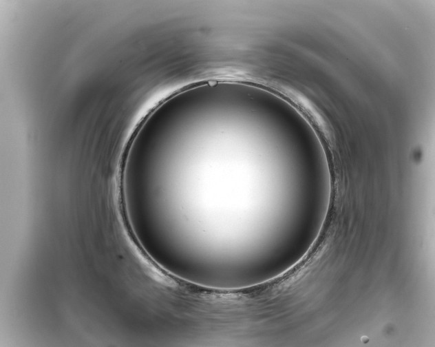X0000099511432200805221412