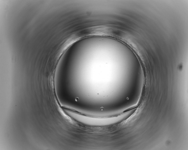 X0000099511433200805221412