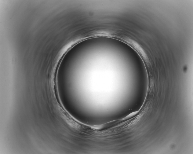 X0000099511435200805221412