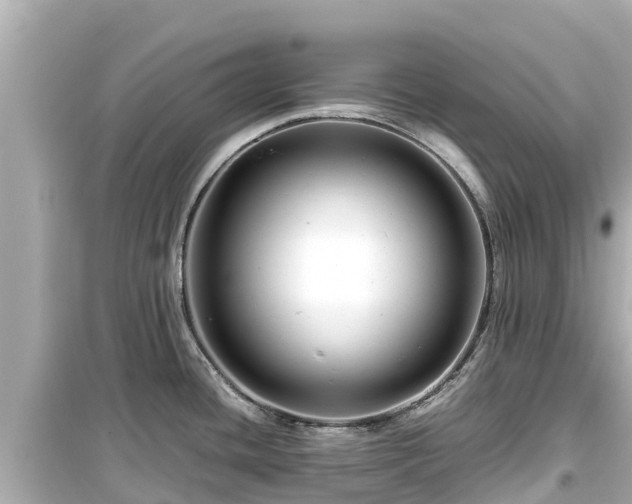 X0000099511436200805221412
