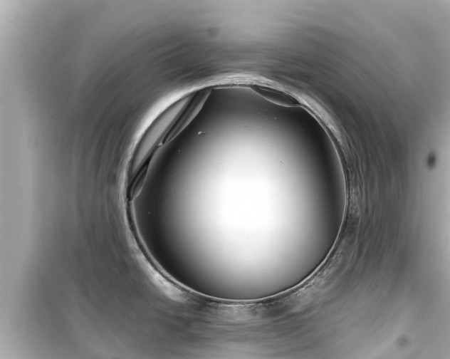 X0000099511438200805221413