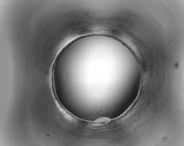 X0000099511439200805221413