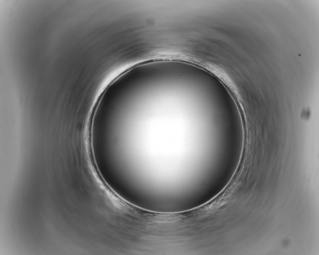 X0000099511440200805221413