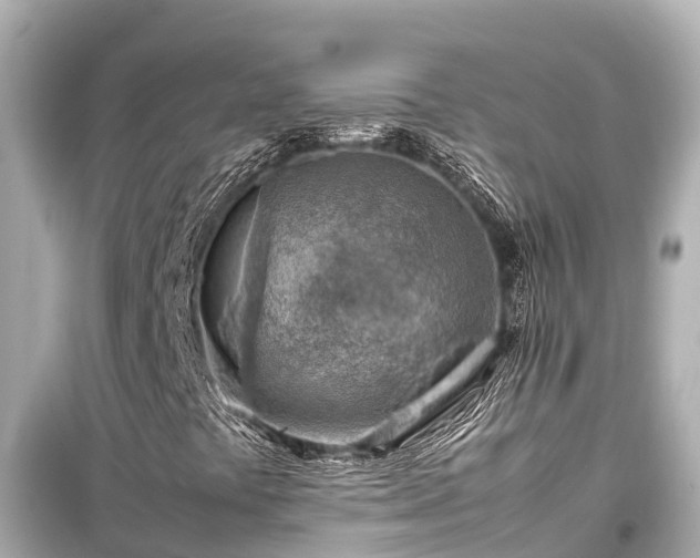 X0000099511441200805221412