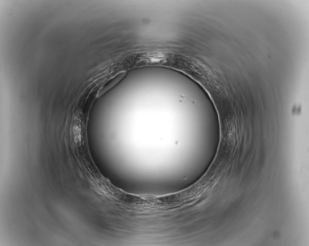 X0000099511442200805221412
