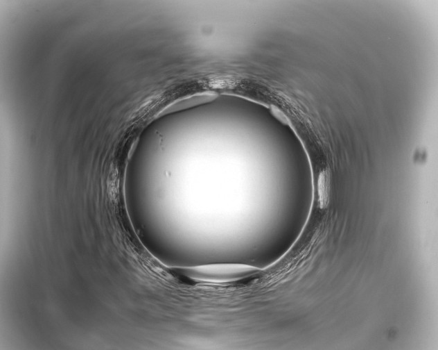 X0000099511443200805221412