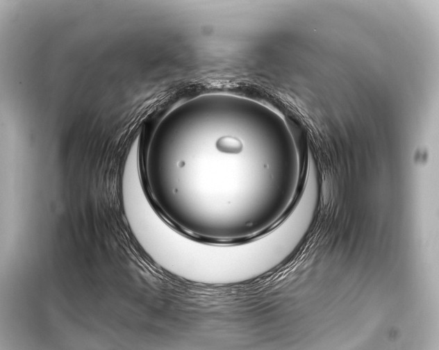 X0000099511444200805221412