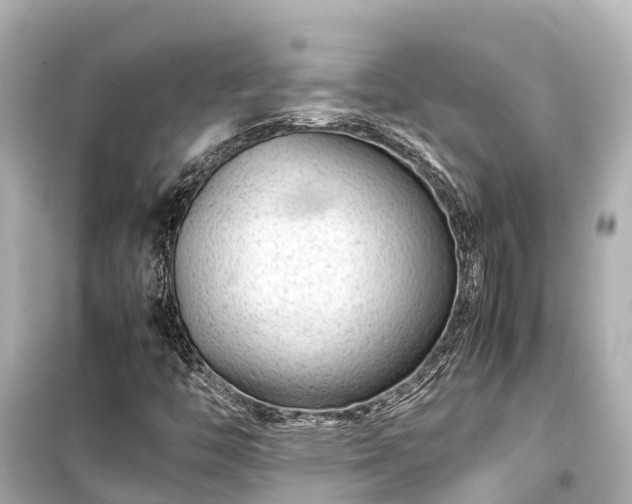 X0000099511446200805221412