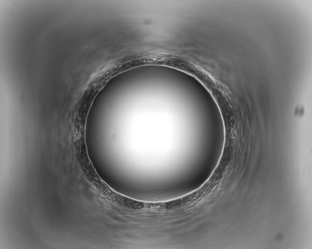 X0000099511447200805221412