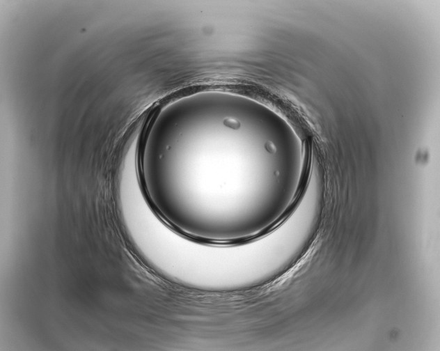 X0000099511449200805221412