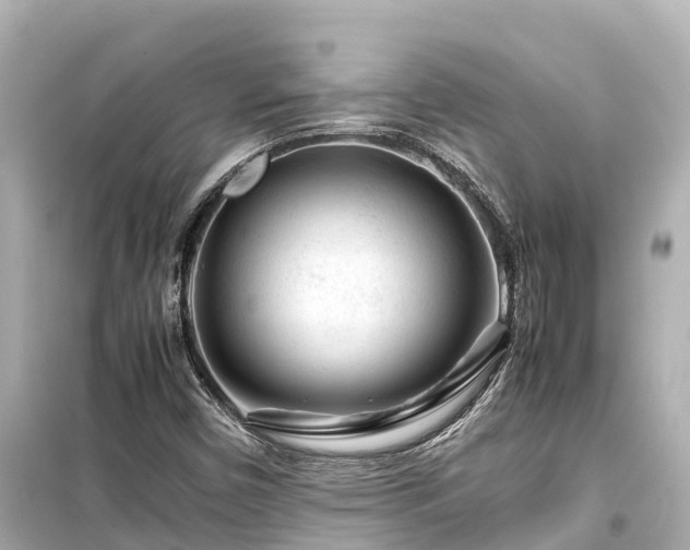 X0000099511450200805221412