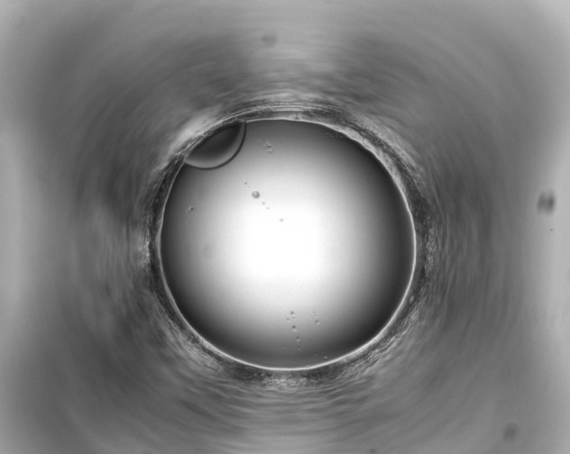 X0000099511451200805221412