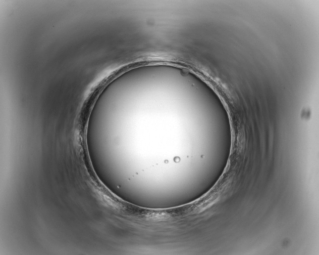 X0000099511454200805221412