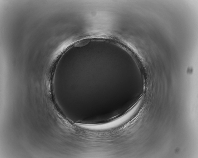 X0000099511455200805221412