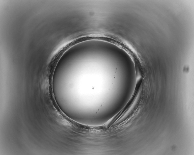X0000099511456200805221412