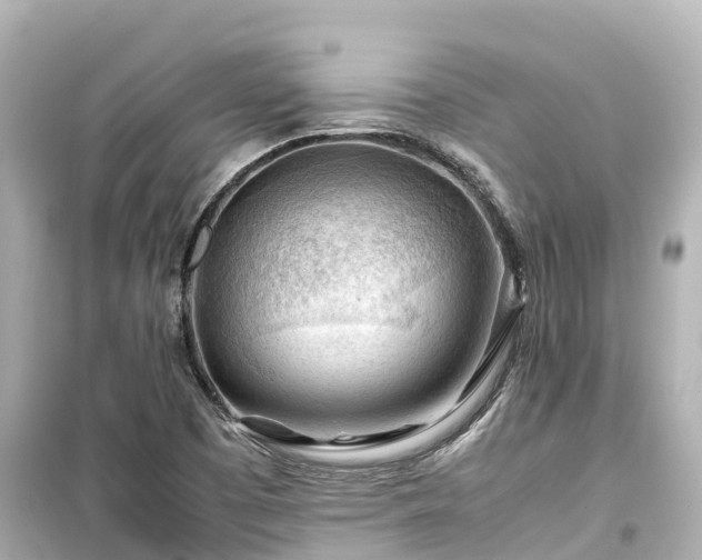 X0000099511457200805221412