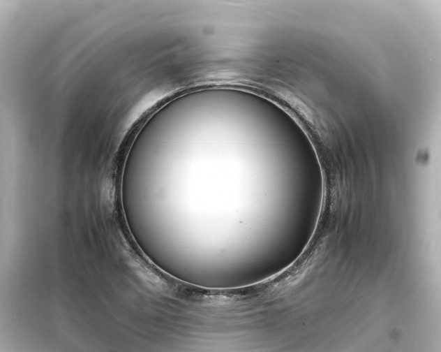 X0000099511458200805221412
