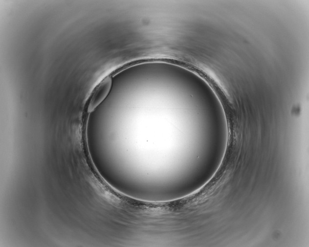 X0000099511460200805221412