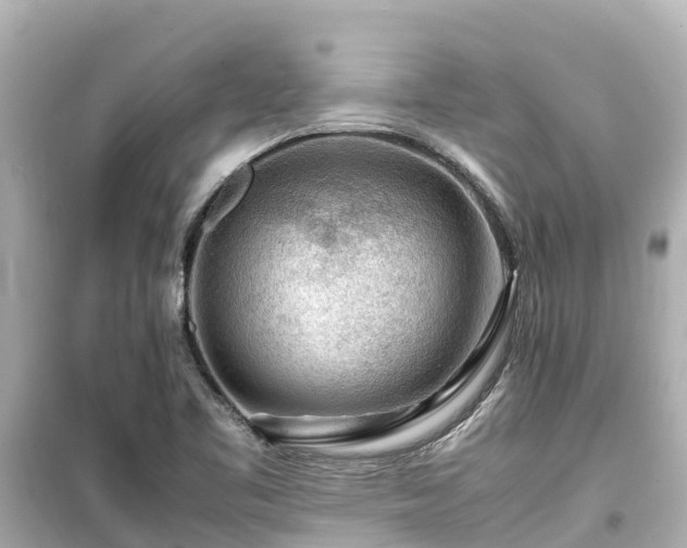 X0000099511461200805221412