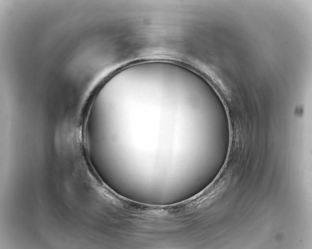 X0000099511462200805221412