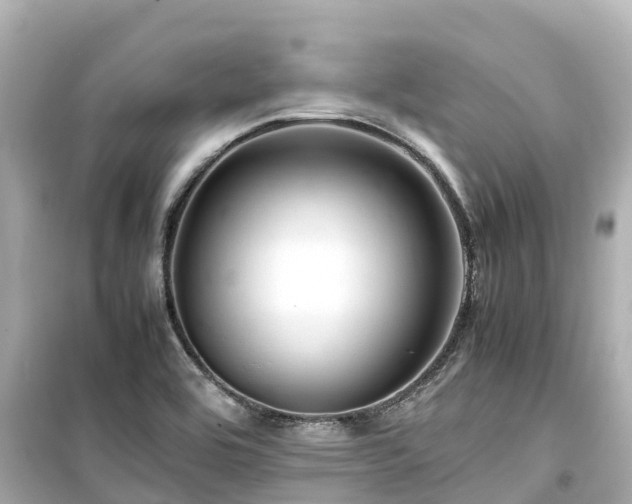 X0000099511464200805221412
