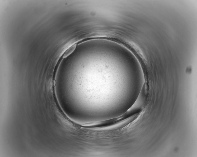 X0000099511465200805221412