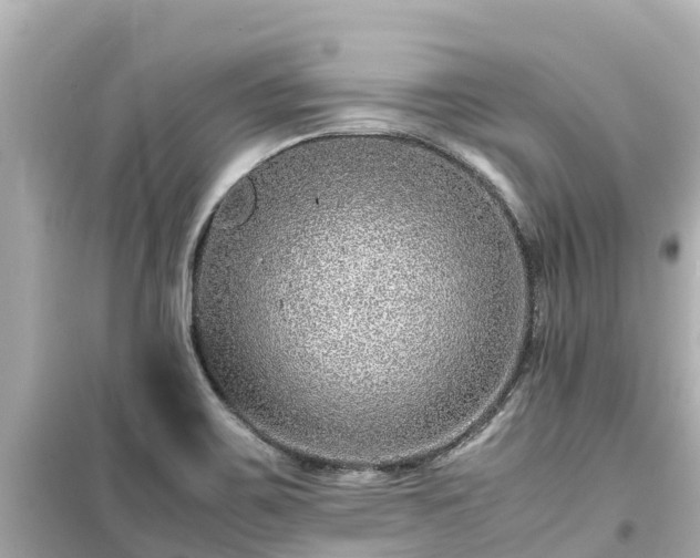 X0000099511467200805221412