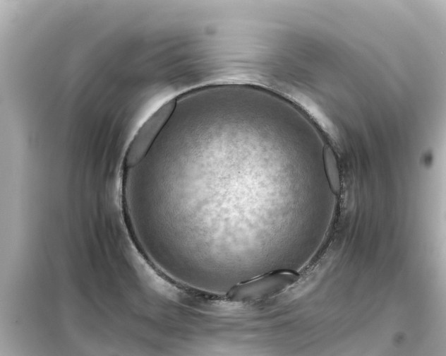 X0000099511468200805221412