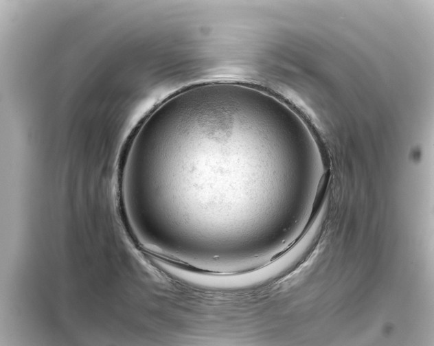 X0000099511469200805221412