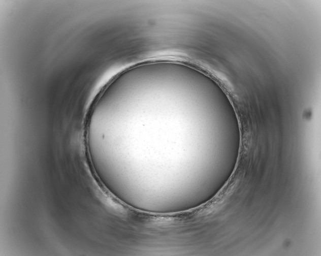 X0000099511470200805221412