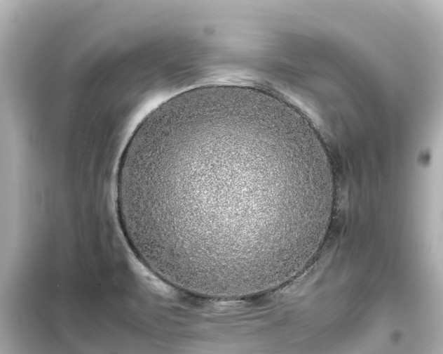 X0000099511471200805221412