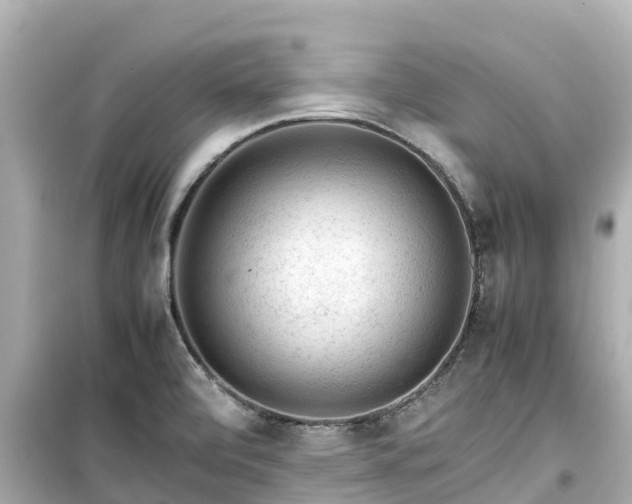 X0000099511472200805221411