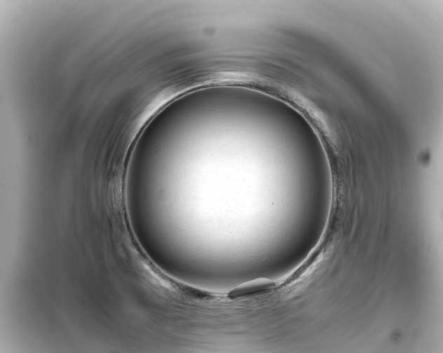 X0000099511473200805221411