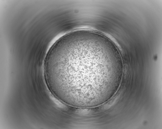 X0000099511474200805221411