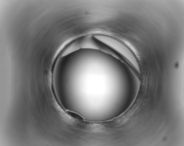 X0000099511476200805221411