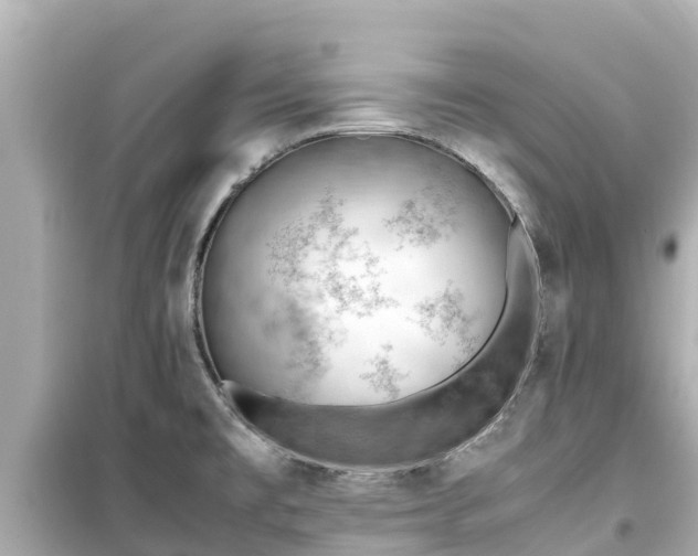 X0000099511477200805221411