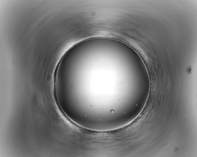 X0000099511479200805221411