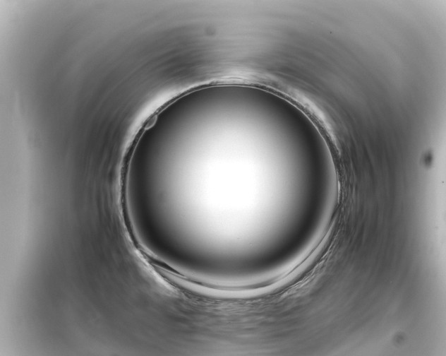X0000099511480200805221411