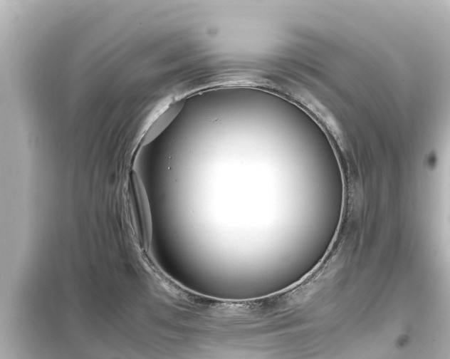 X0000099511481200805221411