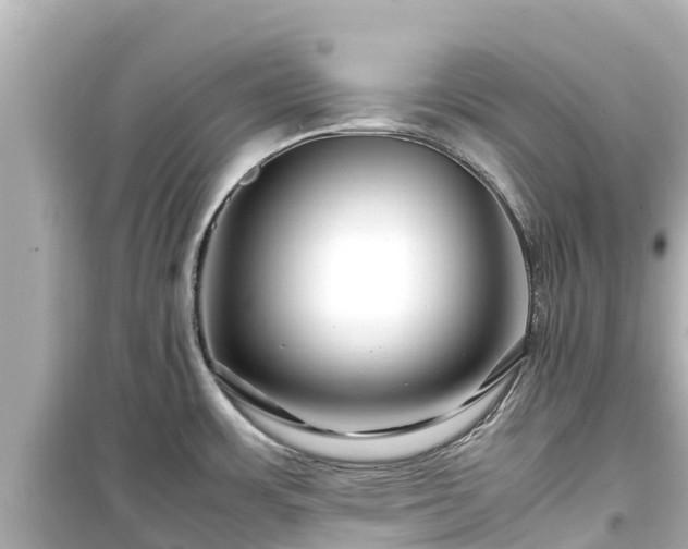 X0000099511483200805221411