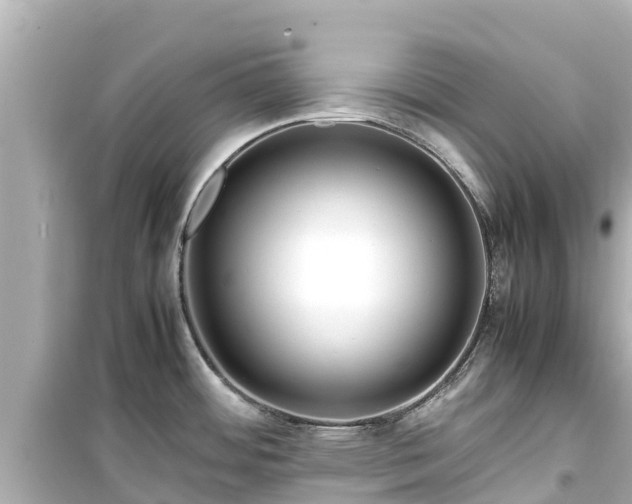 X0000099511484200805221411
